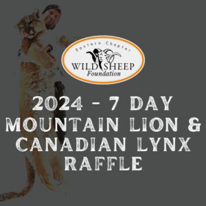 Mountain Lion and Canadian Lynx Raffle