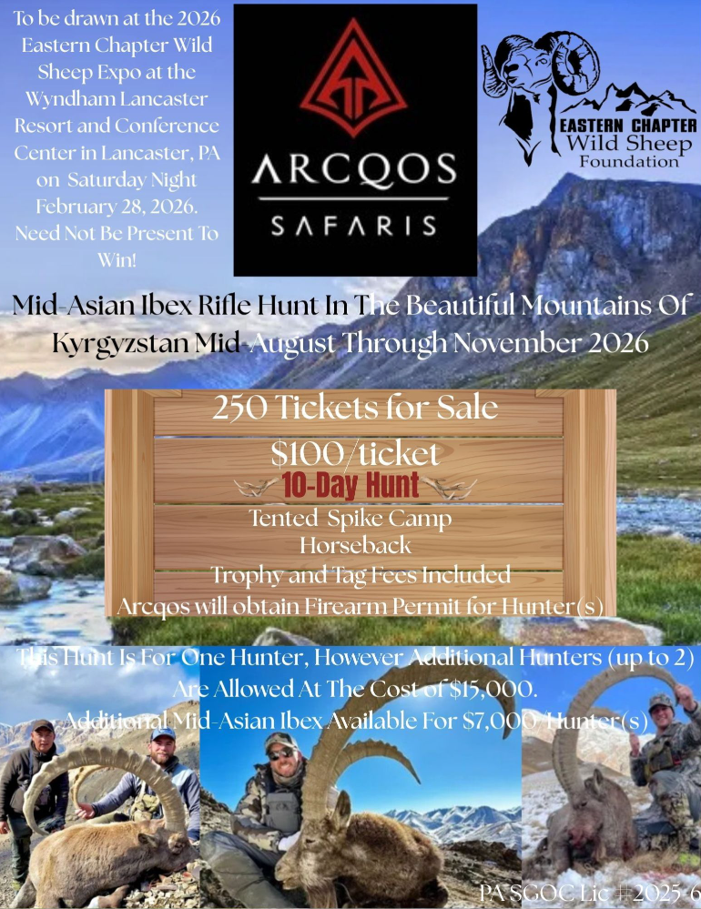 10-day Mid-Asian Ibex Rifle Hunt in Kyrgyzstan