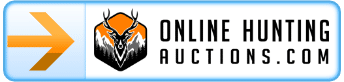 Online Auctions Online Auctions