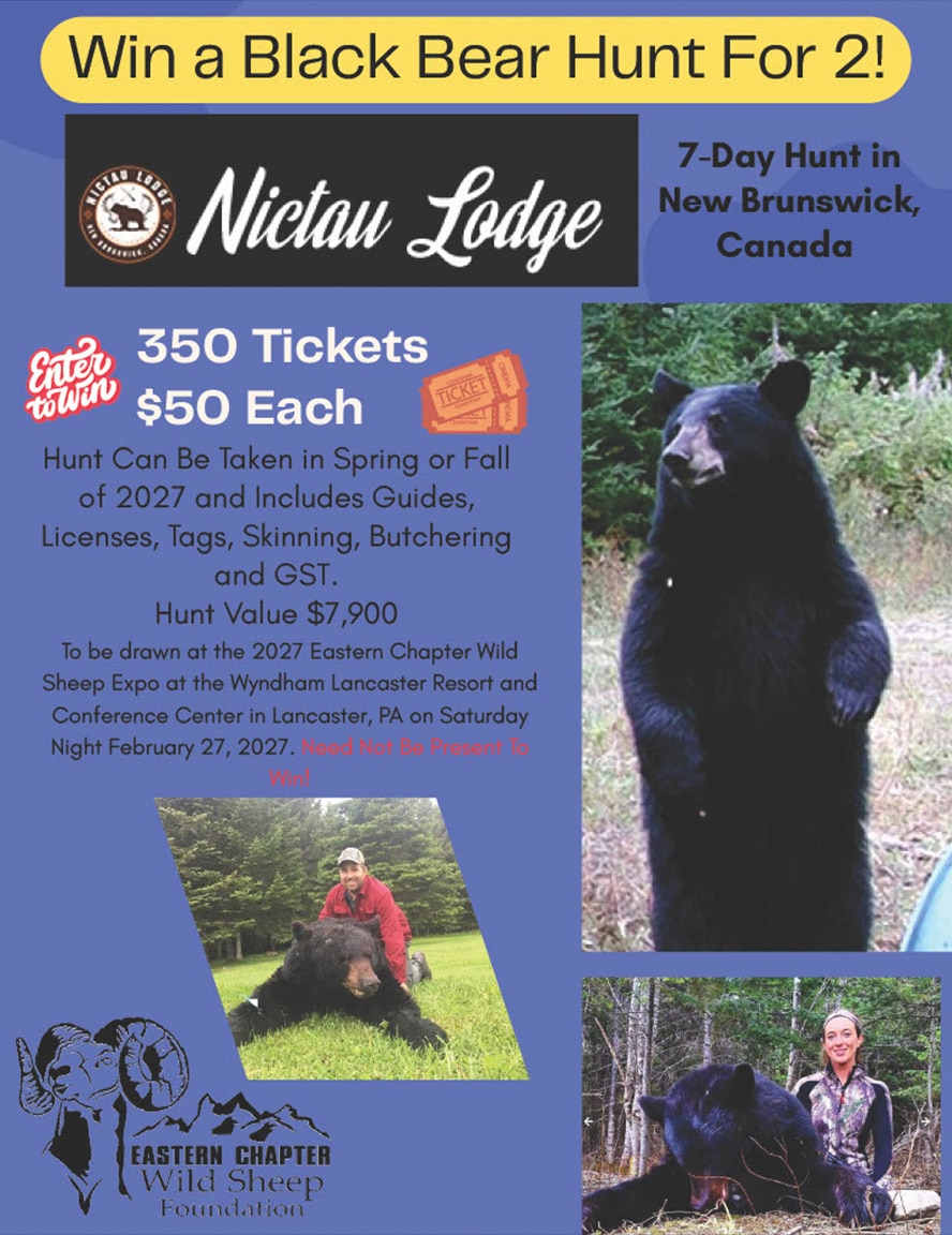 Black Bear Hunt for 2 Raffle
